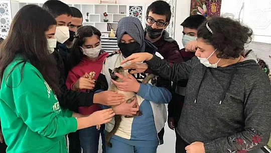 'Helva' isimli kedi, özel öğrencilerin maskotu oldu