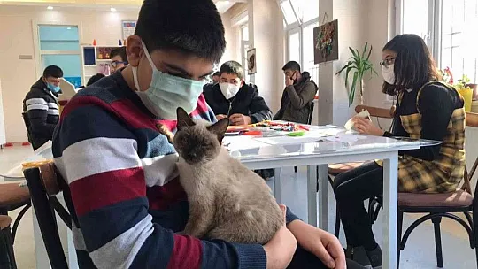 'Helva' isimli kedi, özel öğrencilerin maskotu oldu