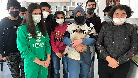 'Helva' isimli kedi, özel öğrencilerin maskotu oldu