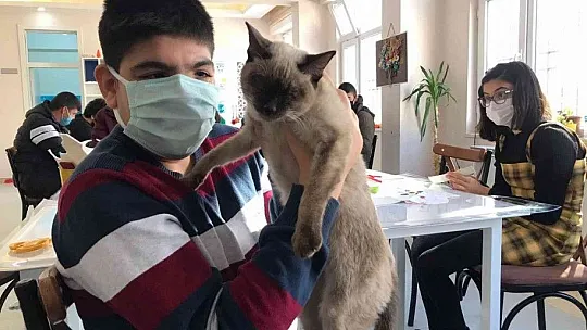 'Helva' isimli kedi, özel öğrencilerin maskotu oldu