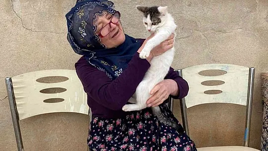 70'e yakın kediye çocuğu gibi bakıyor