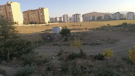 Bu alan ranta mı kurban edilecek ?
