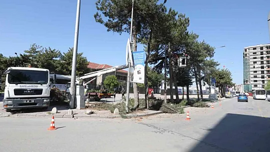 Kent Meydanı sahasındaki 20 adet ağaç taşınacak