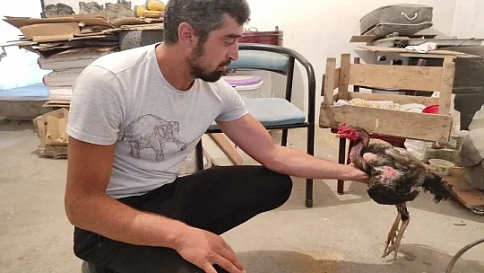 İlk defa böyle bir olaya şahit oldum