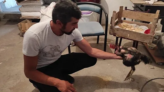 İlk defa böyle bir olaya şahit oldum