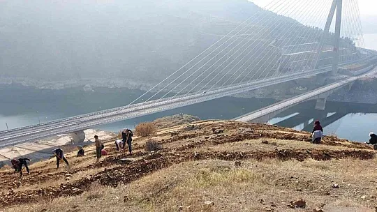 Kömürhan Köprüsünün iki yakasına 55 bin adet fidan dikilecek