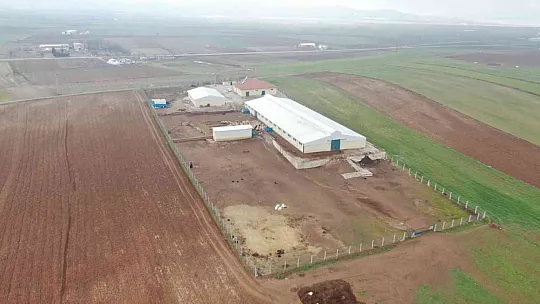 Devletten aldığı hibeyle çiftlik kurdu