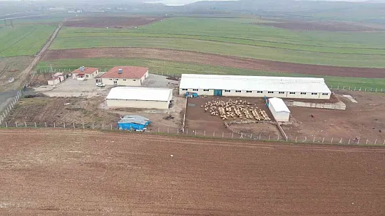 Devletten aldığı hibeyle çiftlik kurdu