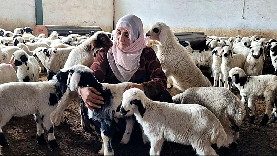 Devletten aldığı hibeyle çiftlik kurdu