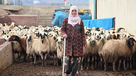 Devletten aldığı hibeyle çiftlik kurdu