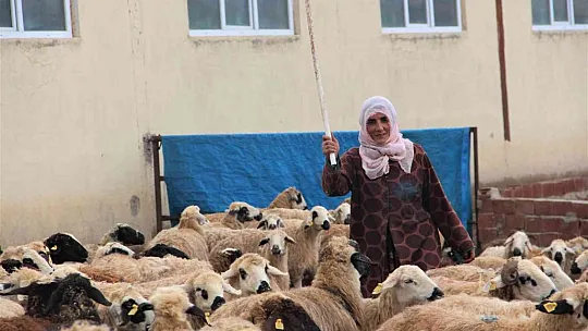 Devletten aldığı hibeyle çiftlik kurdu