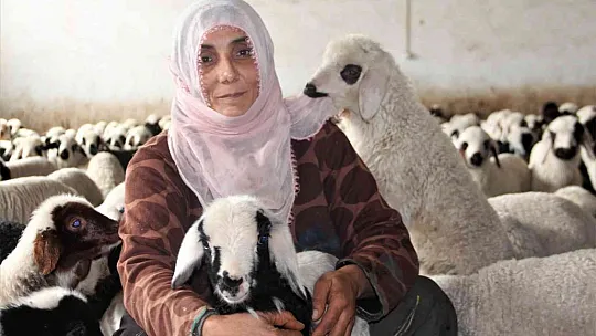 Devletten aldığı hibeyle çiftlik kurdu