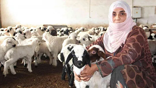 Devletten aldığı hibeyle çiftlik kurdu