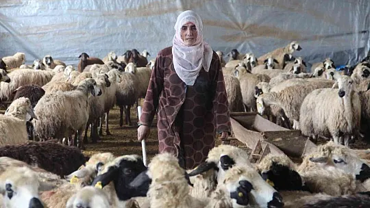 Devletten aldığı hibeyle çiftlik kurdu