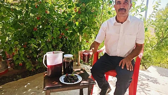 Böğürtlen meyvesini toplayarak reçelini yapıyorlar