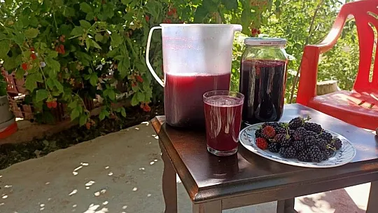 Böğürtlen meyvesini toplayarak reçelini yapıyorlar