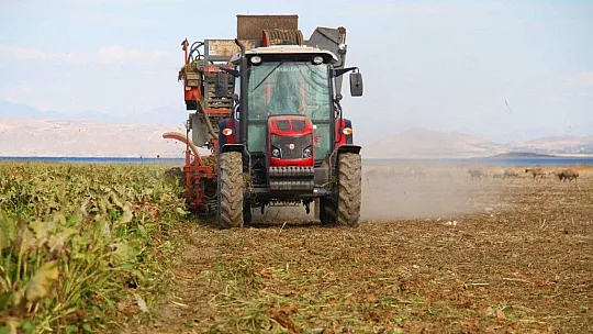 Suları çekilen baraj gölüne, çiftçiler şeker pancarı ekti