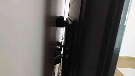 Kurtçuk televizyon ekranının içine yuva yaptı!