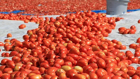 Kurutmalık domateslerle ay yıldızlı Türkiye haritası oluşturuldu
