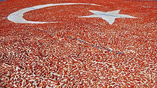 Kurutmalık domateslerle ay yıldızlı Türkiye haritası oluşturuldu
