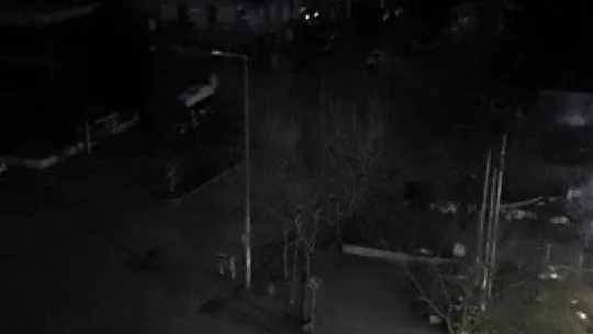 Karakoçan'da 2 mahalle kuşların azizliğine uğradı