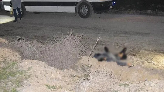 24 yaşındaki genç yol kenarında ölü bulundu