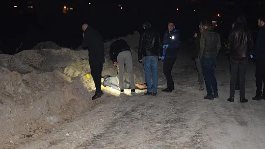 24 yaşındaki genç yol kenarında ölü bulundu