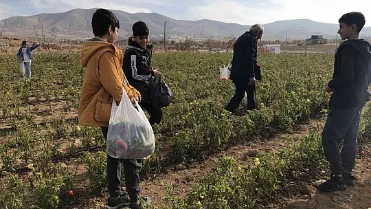 Tarlasını ücretsiz bir şekilde vatandaşlara açtı