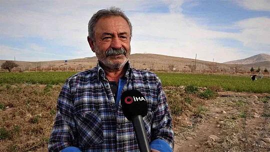 Tarlasını ücretsiz bir şekilde vatandaşlara açtı
