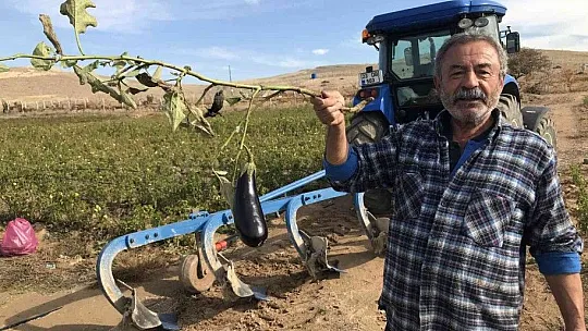 Tarlasını ücretsiz bir şekilde vatandaşlara açtı