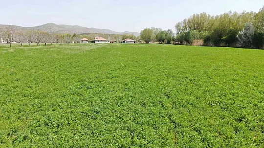 Şirin ilçemiz Sivrice, yerli ve yabancı misafirlerini bekliyor