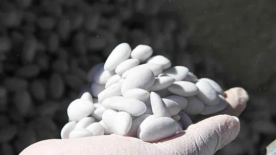 Ramazan öncesi 'Beyaz altın'a talep arttı