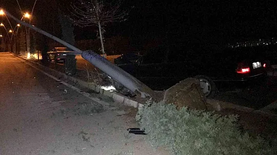 Otomobil aydınlatma direğini ve ağacı devirdi