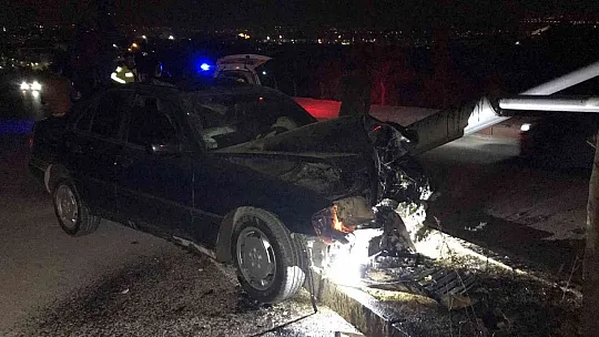 Otomobil aydınlatma direğini ve ağacı devirdi