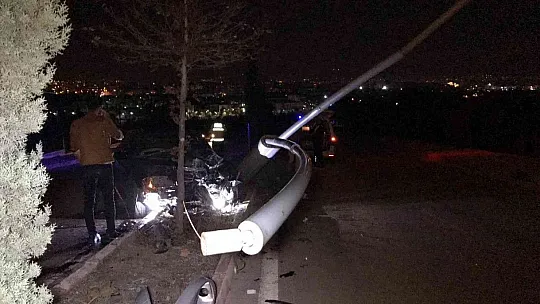 Otomobil aydınlatma direğini ve ağacı devirdi