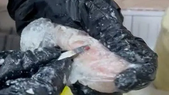 Peynir bidonlarına uyuşturucu sakladılar