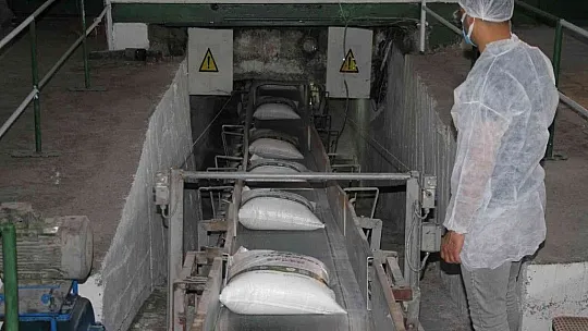 Şeker pancarının tarladan sofralara uzanan tatlı yolculuğu