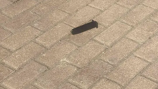 Silahın dipçiğiyle 2 kardeşi böyle darp etti