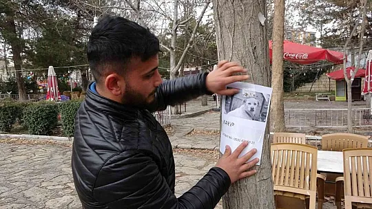 Kaymak'ı bulana ödül de var