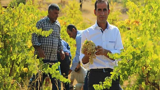 Terörden temizlenen bölgeler çiftçinin yüzünü güldürüyor
