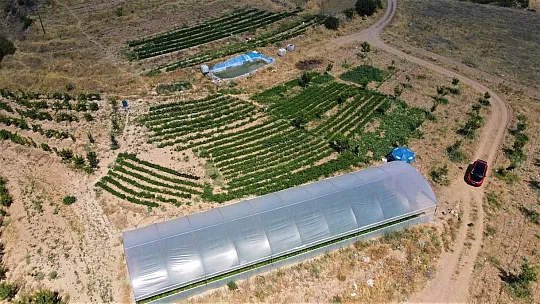 Celayir: Lezzeti ve kalitesi ülke sınırlarını aştı