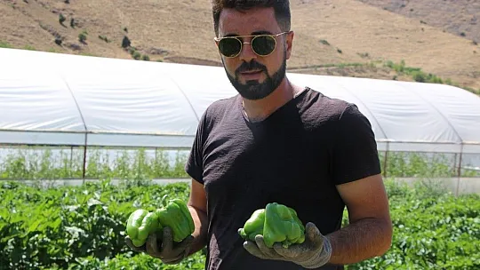 Celayir: Lezzeti ve kalitesi ülke sınırlarını aştı
