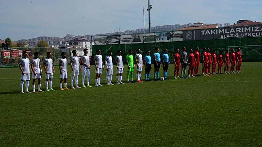 Elazığspor, sahasında Hendekspor'la 1-1 berabere kaldı