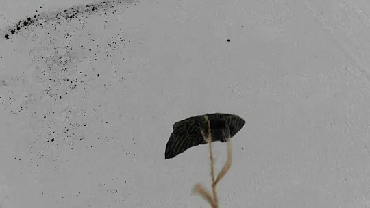 Jandarma ekipleri hastaya ilacını drone ile ulaştırdı