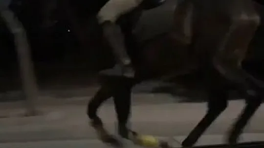 Atla yarışan sürücünün videosu sosyal medyada beğeni topladı