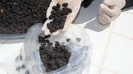 Tescilli dutu una çevirdi, kek ve dondurmada kullandı