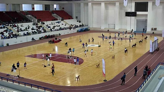Elazığ'ın ev sahipliğinde Türkiye Badminton Şampiyonası başladı