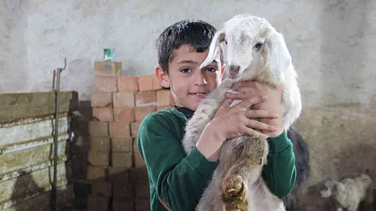 Bir tane beklerken, 3 tane oldu