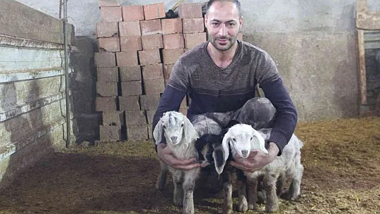 Bir tane beklerken, 3 tane oldu