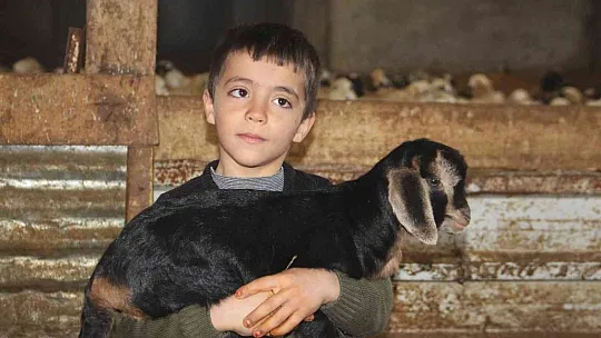 Bir tane beklerken, 3 tane oldu